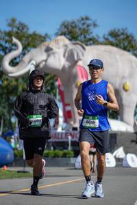 BIB: 
                            <button type="button" onclick="openModal(26544854)" class="btn btn-primary btn-sm float-right btn-popup" data-toggle="modal" data-target=".modal-high-quality">
                        <i class="fas fa-shopping-cart"></i> Add to Cart
                    </button>
                                            <button type="button" onclick="isThisMe(26544854, true)" class="btn btn-success btn-sm float-right btn-popup btn-isme hidden" data-toggle="tooltip" data-placement="bottom" title="นี่คือรูปของคุณใช่ไหม คลิกที่นี่เพื่อเอาเข้าอัลบั้ม">
                        <i class="fas fa-plus"></i> Add to album
                    </button>
                    <button type="button" onclick="isThisMe(26544854, false)" class="btn btn-warning btn-sm float-right btn-popup btn-isnotme hidden">
                        <i class="fas fa-ban"></i> Remove from album
                    </button>